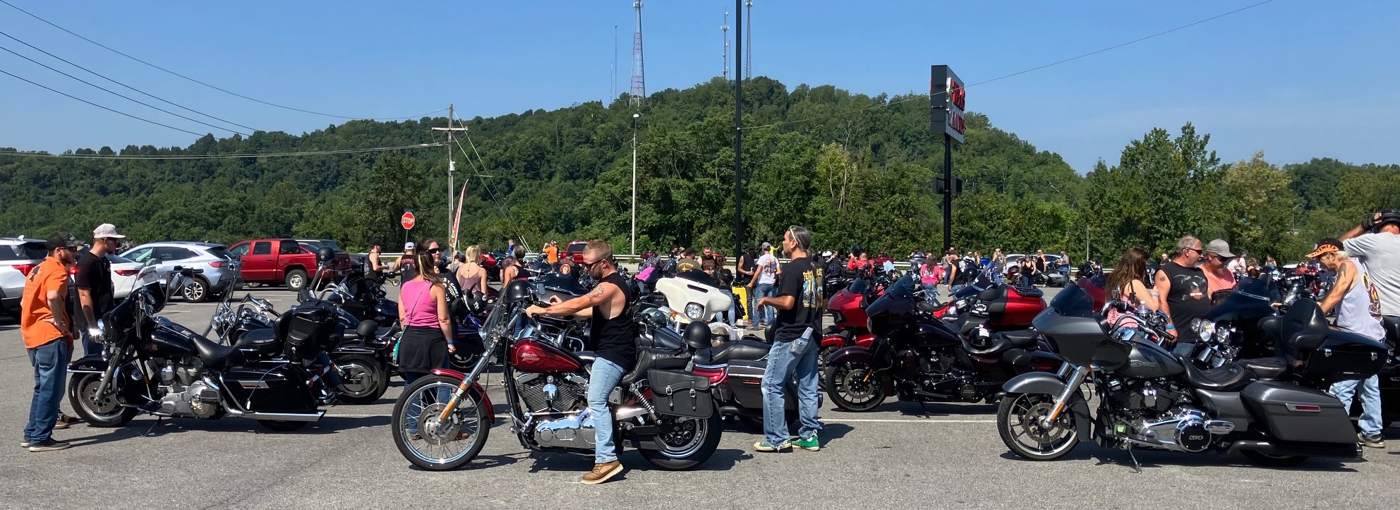 Bikes participating in the 2025 event